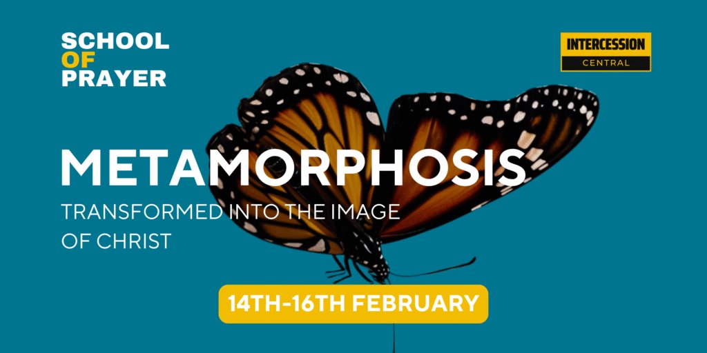 Metamorphosis artwork
